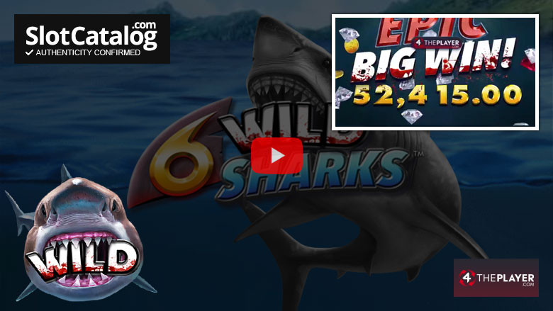 Слот 6 Wild Sharks Big Win Октябрь 2020