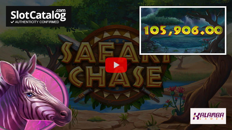 Слот Safari Chase Big Win, июнь 2022 г.