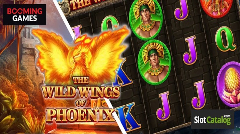 Дикие крылья Феникса Booming Games