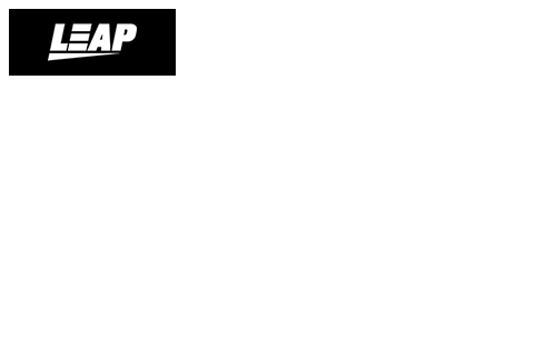 Leap Gaming