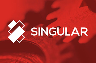 Singular Singular