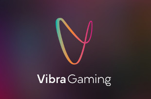 Vibra Gaming Vibra Gaming