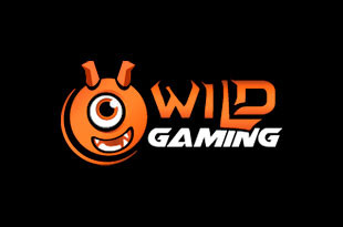 Wild Gaming Wild Gaming