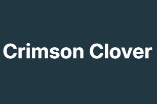 Crimson Clover Crimson Clover
