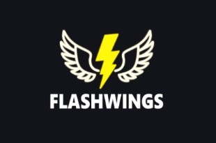 Flashwings Flashwings