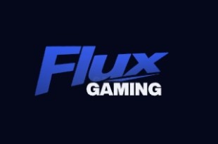 Flux Gaming Flux Gaming