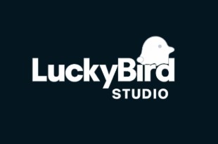 Lucky Bird Studio