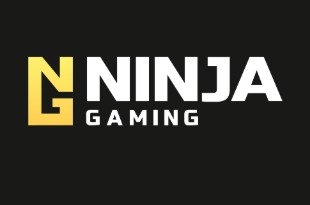 Ninja Gaming Ninja Gaming
