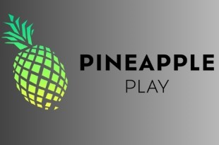 Pineapple Play Pineapple Play