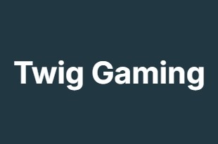 Twig Gaming