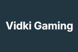 Vidki Gaming Vidki Gaming