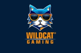 Wildcat Gaming