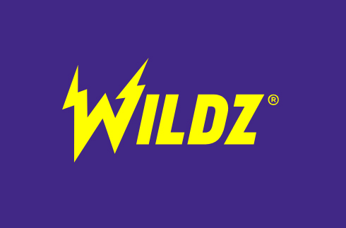 Wildz logo