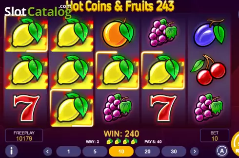 Скрин6. Hot Coins & Fruits 243 слот