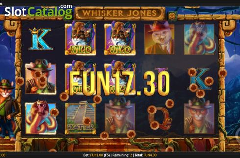 Скрин5. Whisker Jones слот