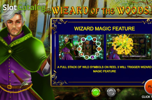 Скрин2. Wizard of the Woods слот