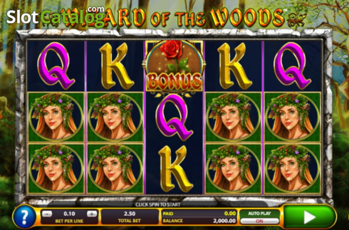 Скрин3. Wizard of the Woods слот