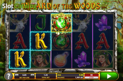 Скрин4. Wizard of the Woods слот
