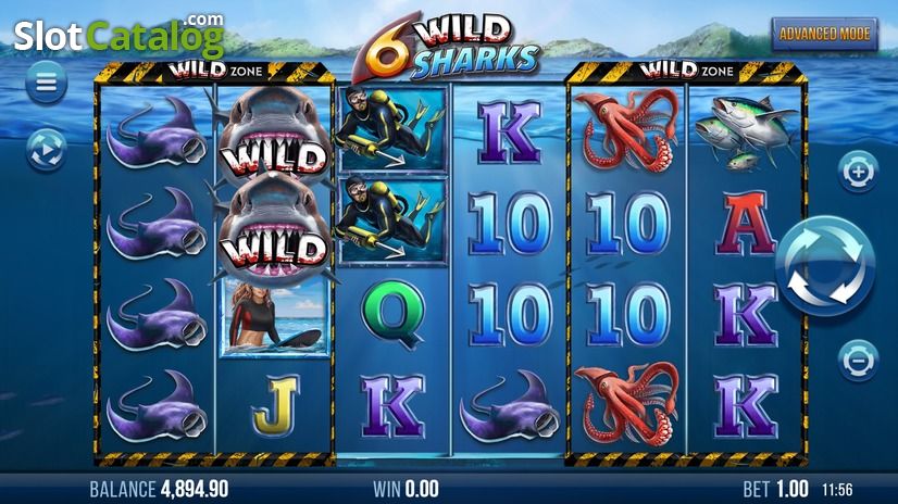 6-дикие акулы 6-Wild-Sharks