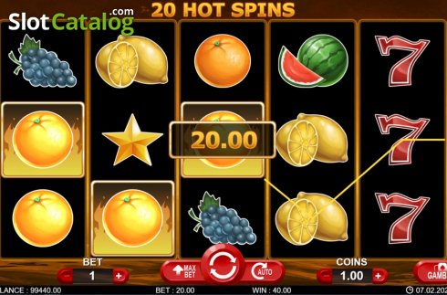 Скрин4. 20 Hot Spins слот