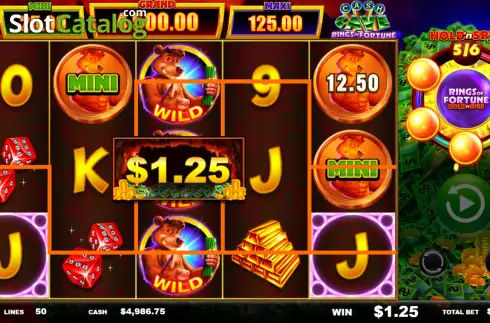 Скрин3. Cash Cave Rings of Fortune слот