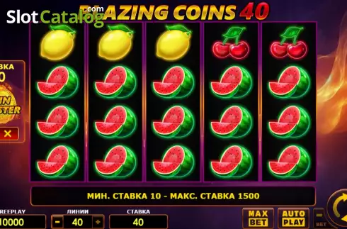 Скрин2. Blazing Coins 40 слот