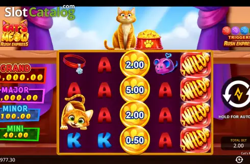 Скрин2. Cat’s Meow Rush Express слот