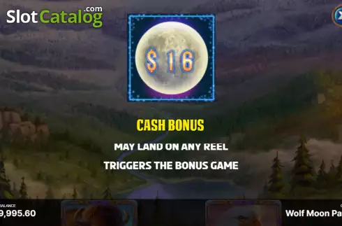 Скрин7. Wolf Moon Pays слот
