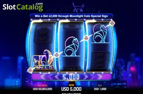 Скрин3. Moonlight Cats слот