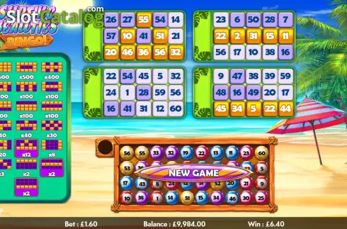 Скрин4. Surfing Beauties Video Bingo слот