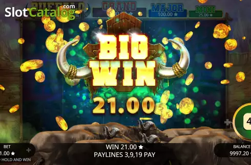 Скрин5. Buffalo Hold and Win слот