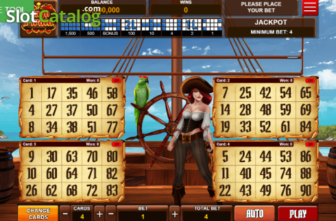 Скрин2. Bingo Pirata слот