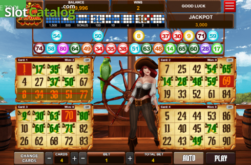 Скрин4. Bingo Pirata слот