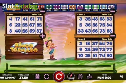 Скрин5. Bingo Tornado слот