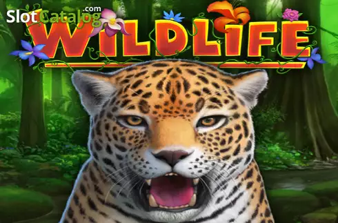 Wildlife логотип Wildlife логотип