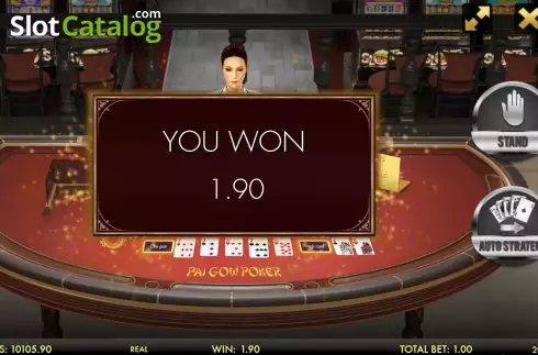 Скрин3. Pai Gow Poker Heads-Up 3D Dealer Deluxe слот