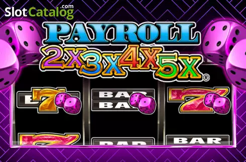Payroll 2x3x4x5x логотип Payroll 2x3x4x5x логотип