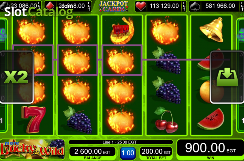 Скрин7. More Lucky & Wild слот