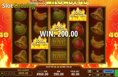 Скрин3. Toto Wild Hot 40 слот