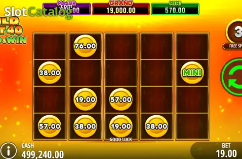 Скрин3. Wild Hot 40 Hold & Win слот