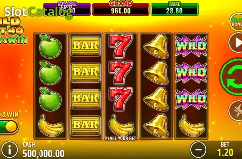 Скрин2. Wild Hot 40 Hold and Win слот