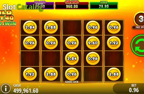 Скрин3. Wild Hot 40 Hold and Win слот