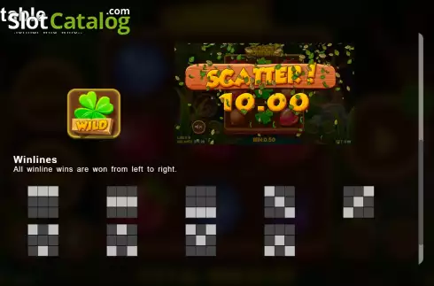 Скрин8. Forest Fortunes слот