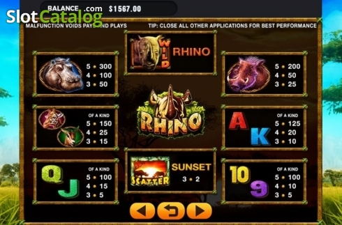 Скрин5. Rhino слот