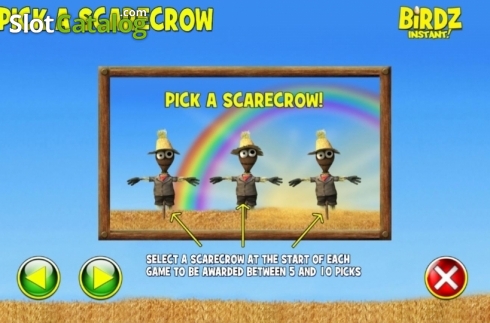 Скрин8. Birdz Instant Win слот