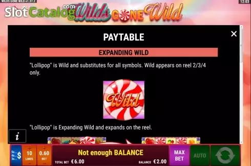 Скрин2. Wilds gone wild слот
