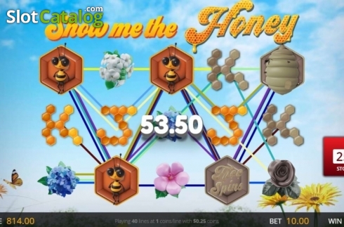 Скрин4. Show Me the Honey (Genii) слот