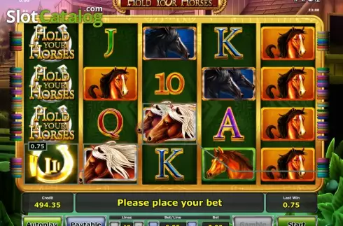 Скрин4. Hold your horses слот