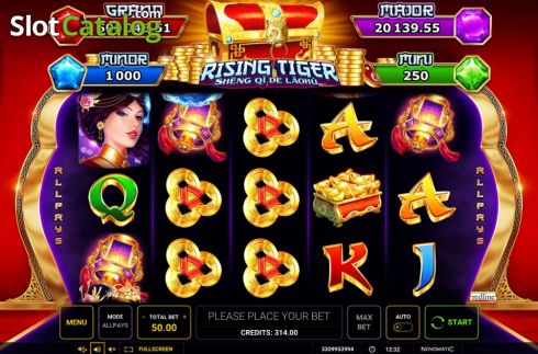 Скрин2. Rising Tiger (Sheng qi de Laohu) слот