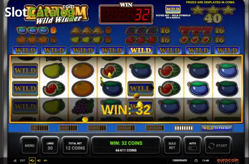 Скрин3. Random Wild Winner слот